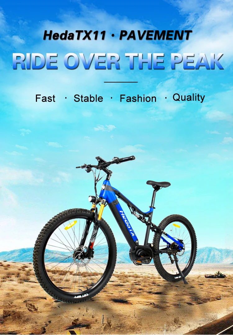 Electric Bike Cycle Brands In World SHENGLE Mid-Drive Inch 9x5