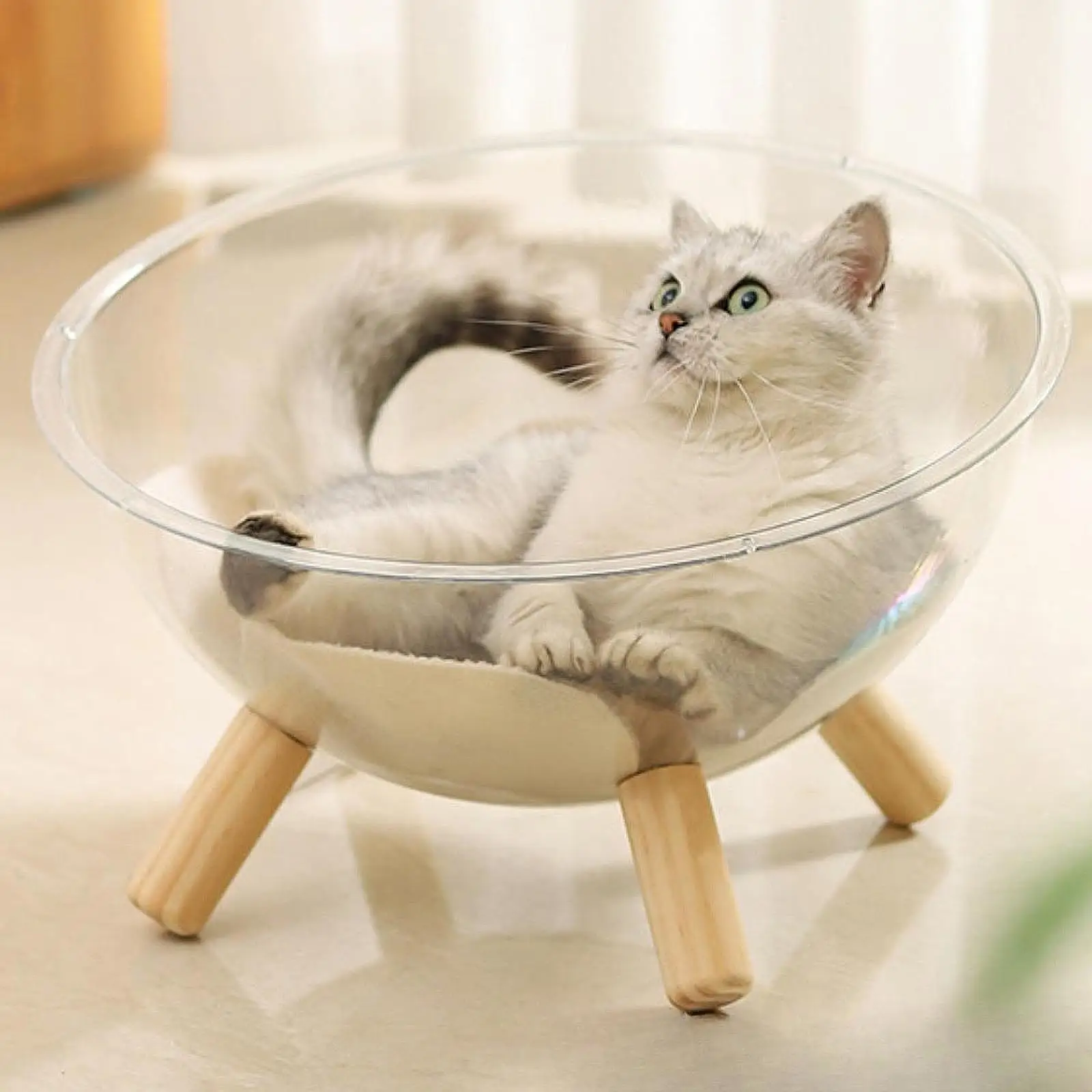 Space Capsule Bed 2