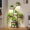 7 Tiered, 44" Corner, Metal, Curved Plant Holder Rack for Living Room, Patio, Balcony, Plant Shelves 5