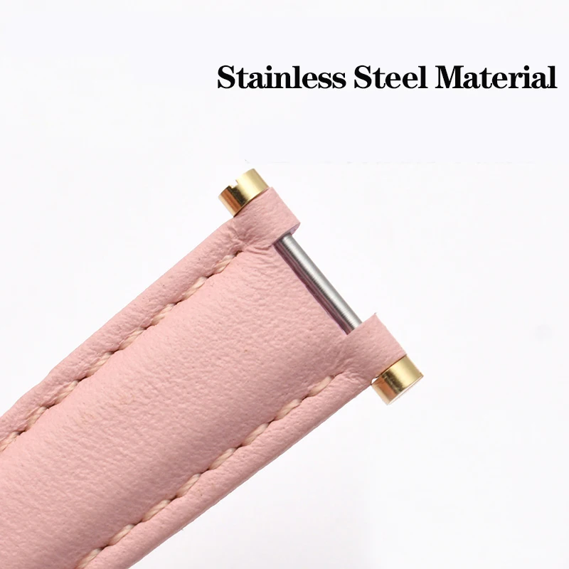 Rose Gold & Silver Watch Screw-In Lug Stem Link Kit