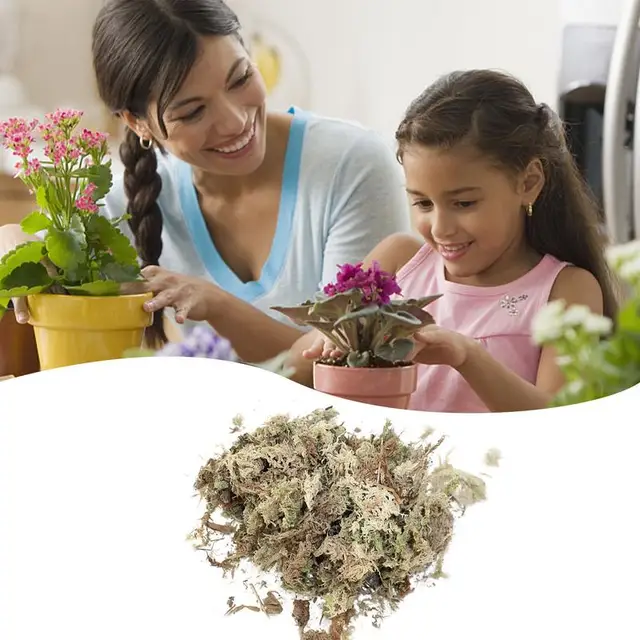 Sphagnum Moha Kerti Mohát Hidratáló Táplálkozás Organikus Műtrágya Sűrített Csomag Az Orchidea Falaenopsis Készletekhez - Image 4