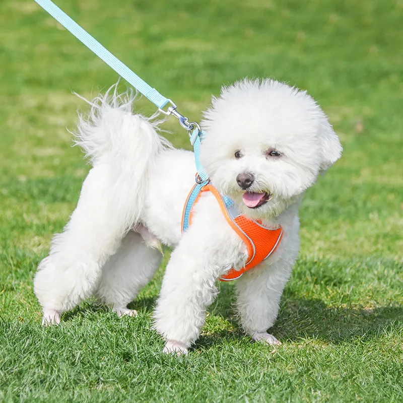 S78bd490120064e648053d46aa31e6fc9T