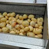 Commercial Industrial Fresh Ginger Washing And Peeling Machine Vegetable Washer Shell Fish Carrot Dates Potato Cleaning Machine 4