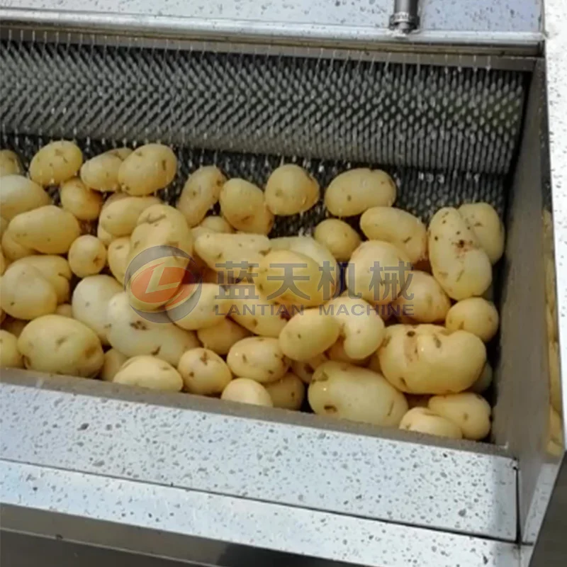 Commercial Sweet Potato Potato Cleaning and Peeling Equipment Rootstalk Vegetable Brush Cleaning Machine 3