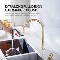 Brushed Gold Kitchen Faucet Invisible Pull Out Spray Mixer Double Hole Single Handle Solid Brass Hot and Cold Separate Sink Tap 2