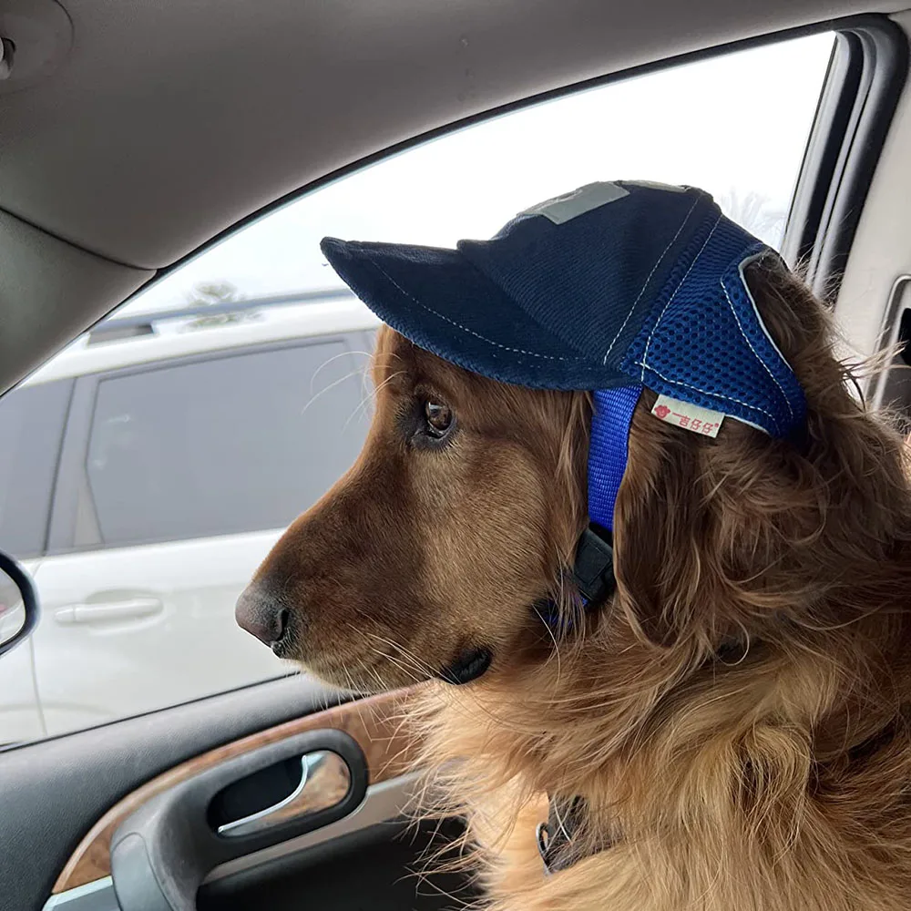 Sports Hat With Ear Holes For Dogs