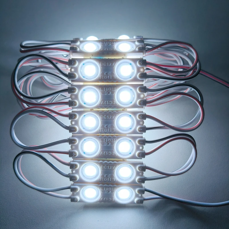20pcs/lot 2LED injection led module light lamp white /warm white DC 12V with lens Waterproof IP65