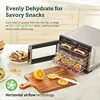 COSORI Food Dehydrator for Jerky, 176°F Temperature Control, 5 Stainless Steel Trays Dryer Machine, 4 Presets,8H Timer,for meat 4