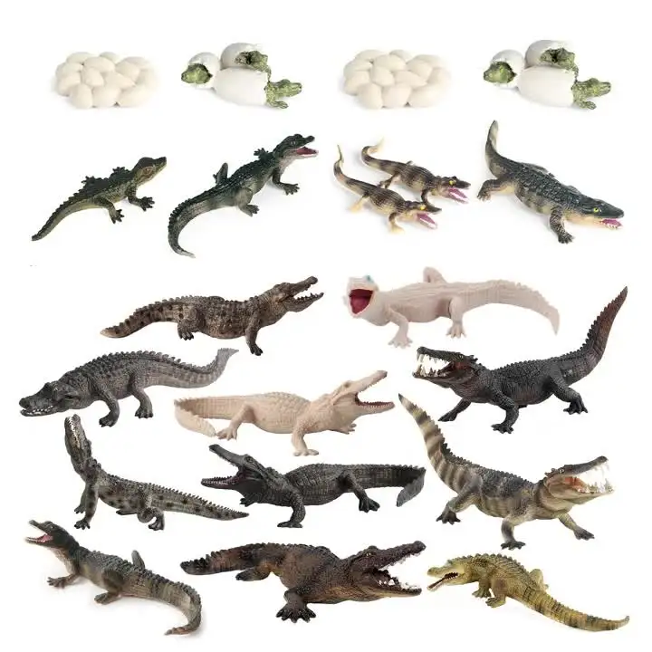 ワニのフィギュアのおもちゃ、ワニモデル、ライフサイクルプレイ