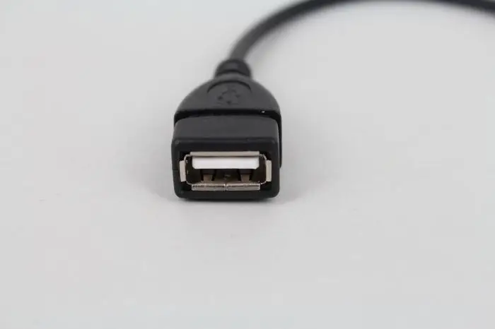 462306-1f47f8.jpg