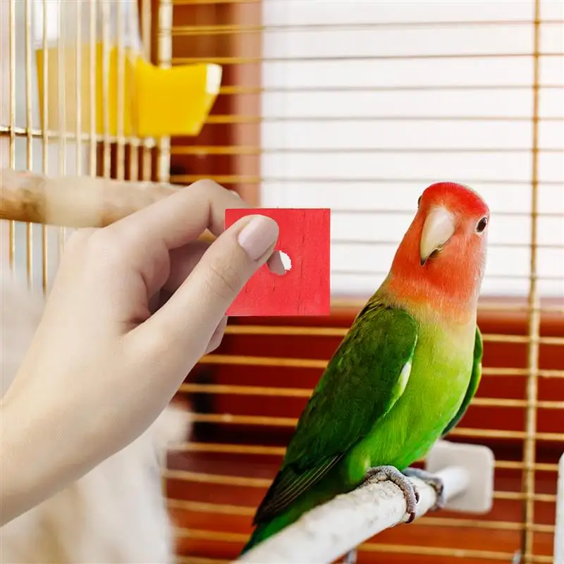100 pcs Wood Pet Toy Bird Bite Toys Bird Chewing Toys Parrot Cage Bite Toy Parrot Cage Shredder ToyWooden Color Random