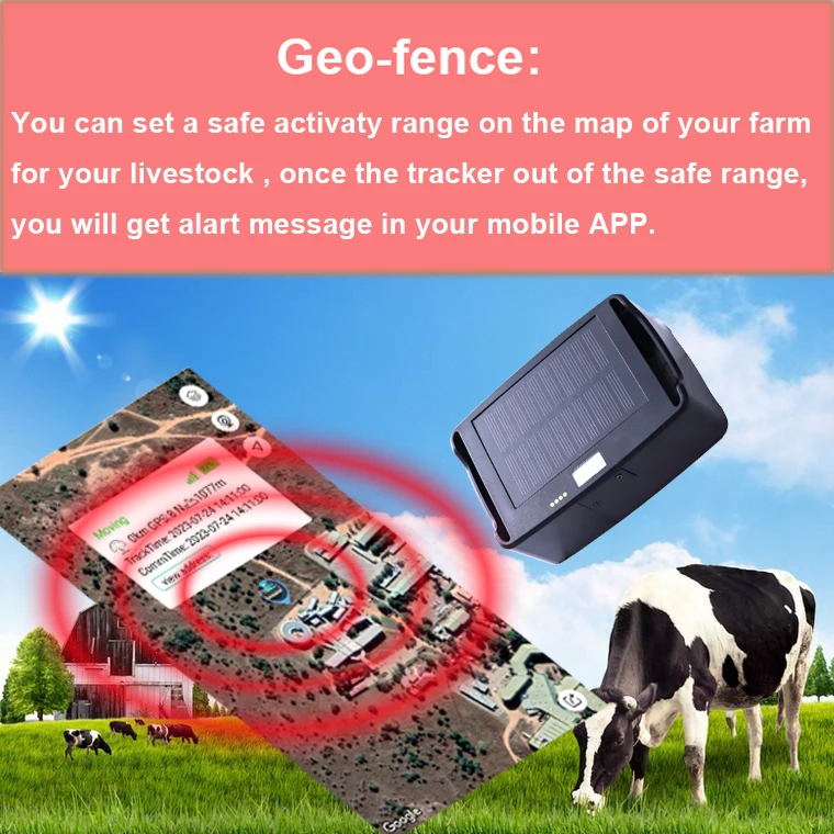 Solar Cattle GPS Tracker 4G Waterproof Solar Charging Real Time Tracking Collar GPS Tracker For Cattle Sheep Horse