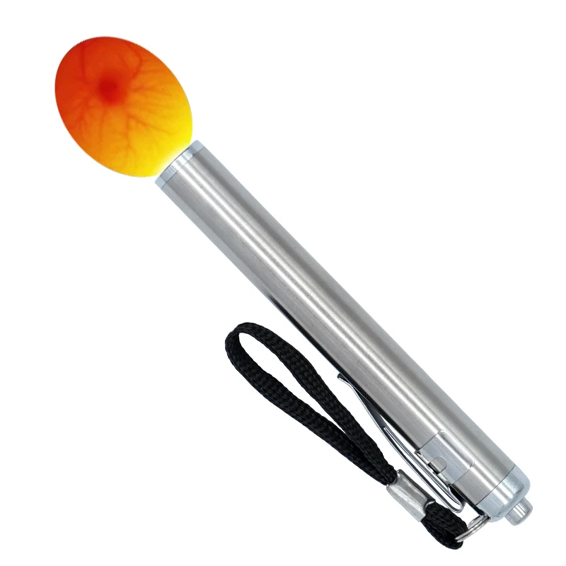Egg Incubator Egg Candler Incubator Eggtester Egg Candling Lamp Led Super Cold Light Flashlight Equipment for All Chicken Dark Quail Duck Canary Eggs