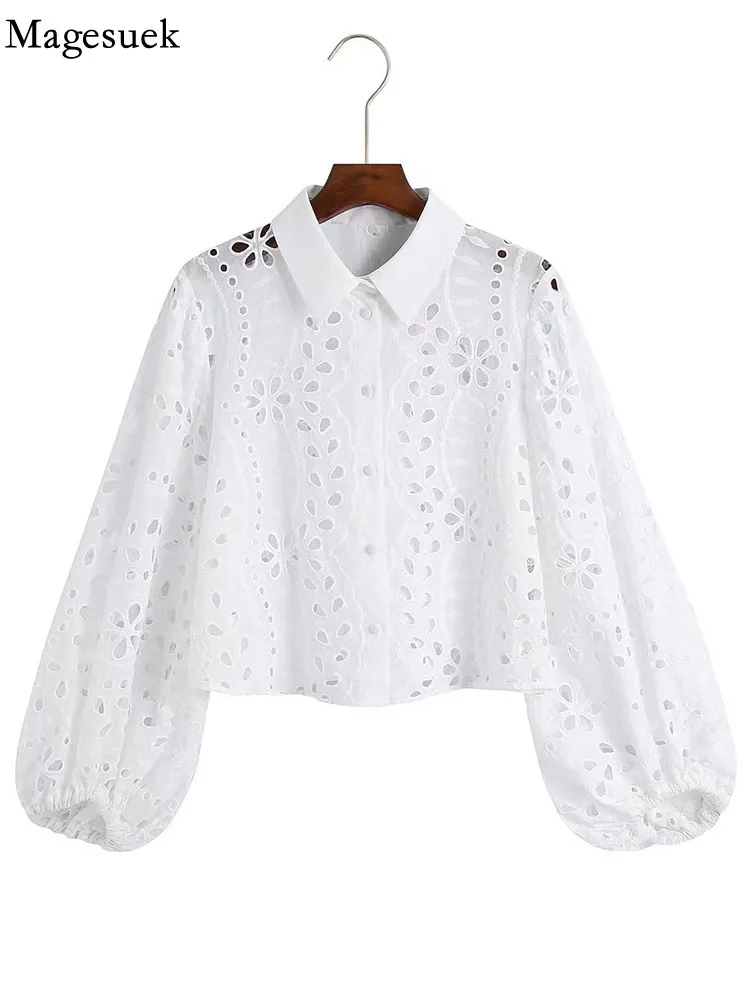 

Женская блузка с длинным рукавом, Повседневная модная ажурная рубашка с вышивкой, новинка весны, свободная однотонная модная одежда, блузы 22119