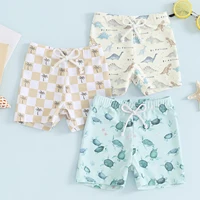 Toddler Boys Elastic Drawstring Board Shorts Summer Swim Trunks Dinosaur/Plaid/Turtle Print Swimwear Beach Shorts Bathing Suit 2