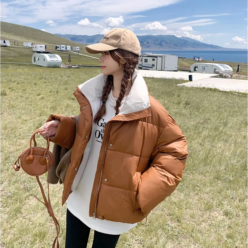 

Winter Korean Puffer Jacket Women Down Cotton Coat Stand Collar Parka Thick Warm Short Tops Long Sleeve Loose Snow Clothes