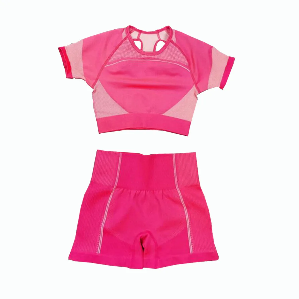2 Pcs Seamless Yoga Set Women Sport Set Gym ClothingWorkout Sportswear Fitness Crop Top High Waist Leggings Sports Suits Women