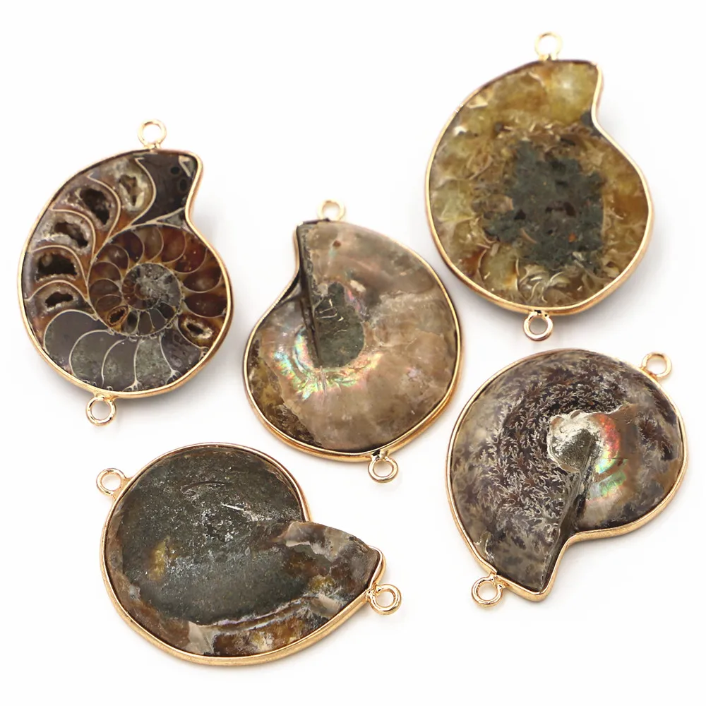 Natural Stone Large Ammonite Snail Seashell Connectors Pendants For Jewelry Accessories Making Wholesale 5pcs  55-45MM