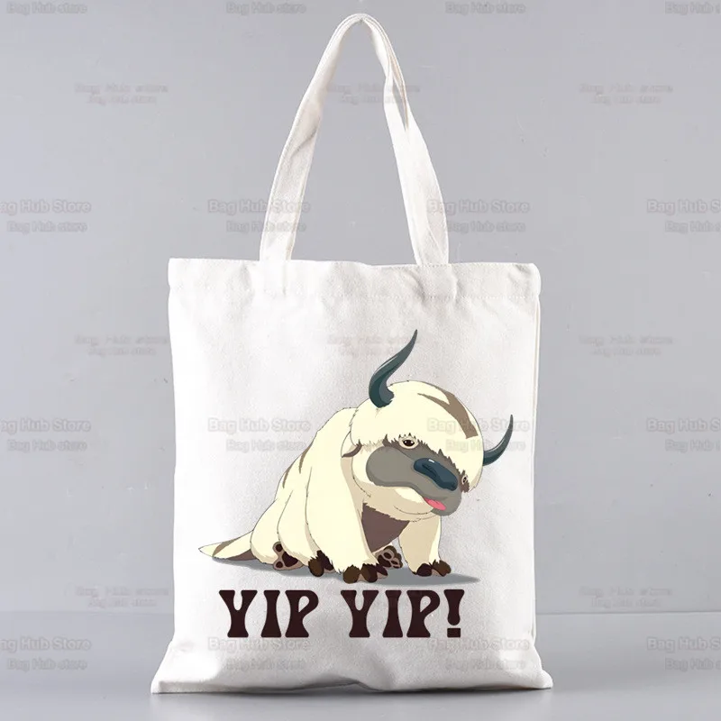 Shopping bag and tote bags canvas bag for eco-use
