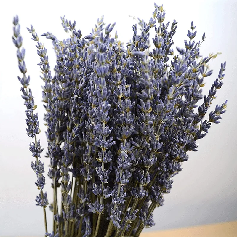 Dried Lavender Flowers 50-100g 100% Natural Dry Lavender Bunches