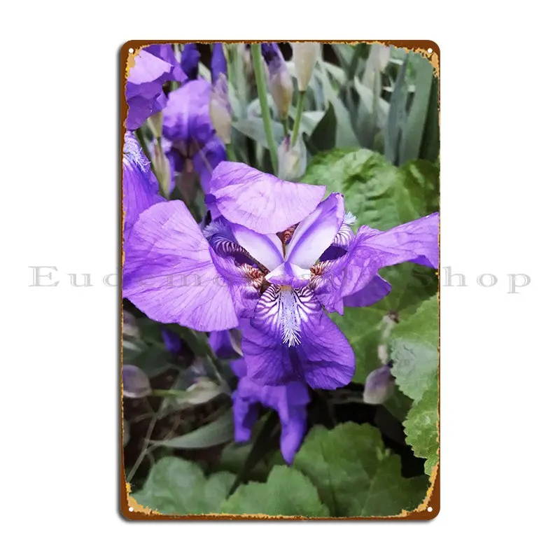 

Iris Flower Metal Sign Cinema Garage Decoration Wall Decor Customize Bar Tin Sign Poster