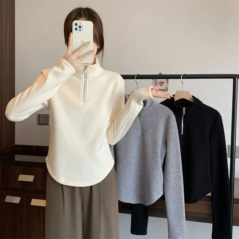 Frauen Rollkragen Neue Herbst Winter Pullover Basis Wärme Dicke Lose Lange-ärmeln Top – Detail 4