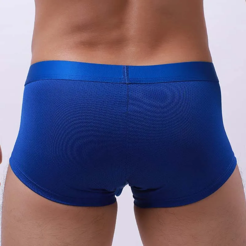 Hot Penis Hole Men Boxers Underwear Sexy Mesh Penis Pouch Male Panties Men U Convex Trunks Boxershorts Gay Lingerie Underpants 4