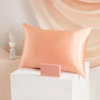 100% Natural Mulberry Silk Pillowcase 19MM With Hidden Zipper Suitable For Hair Real silk pillow case with Oeko-tex 1