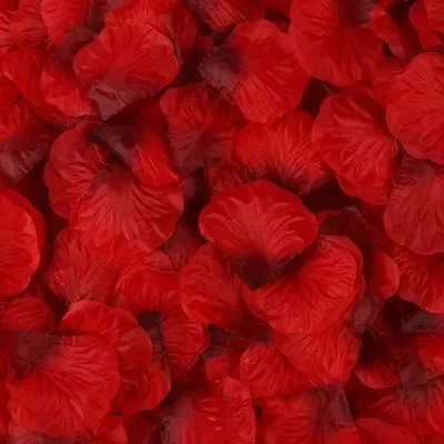 Guantes de nitrilo limpios Guantes de goma alargados de 12 pulgadas Lavavajillas Cocina Herramientas de limpieza Limpieza Hogar Jardinería Cuidado de mascotas