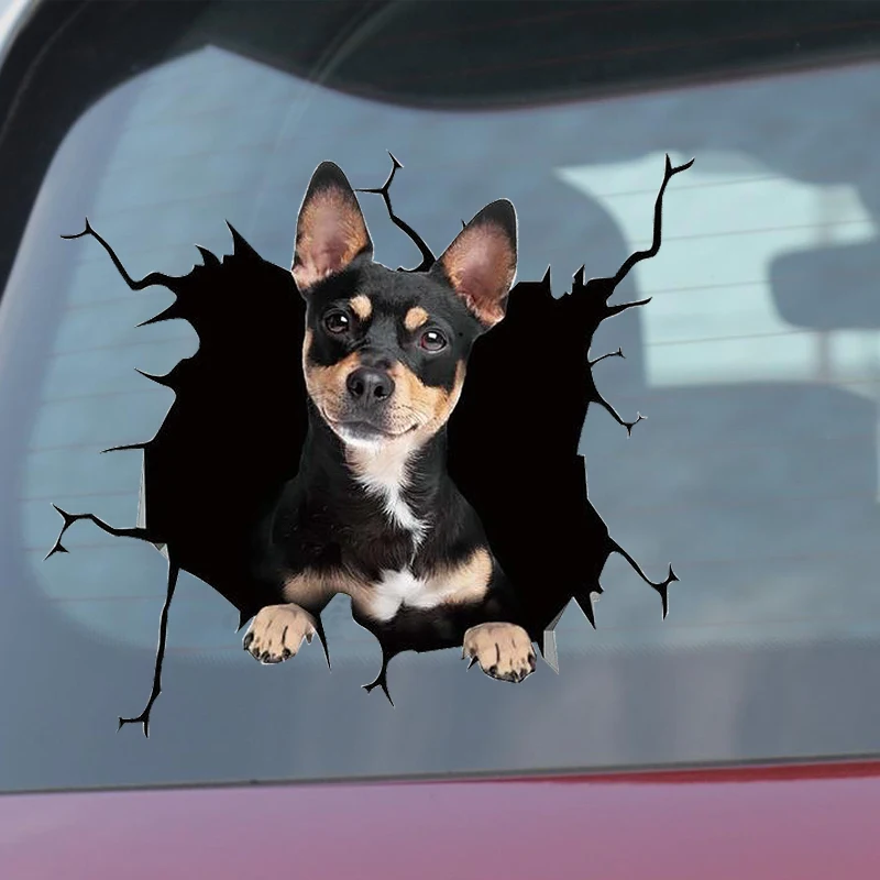 ڵ â   â ƼĿ,  3D ùķ̼, ġ ҵ ڵ ƼĿ,  Į