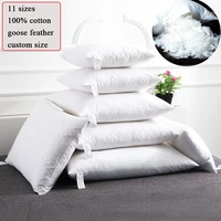 30x50 50x70 45x45 50x50cm 100% Cotton Goose Down Feather Big Long Sofa Body Waist Backrest Chair Sitting Cushion Padding Pillow 2