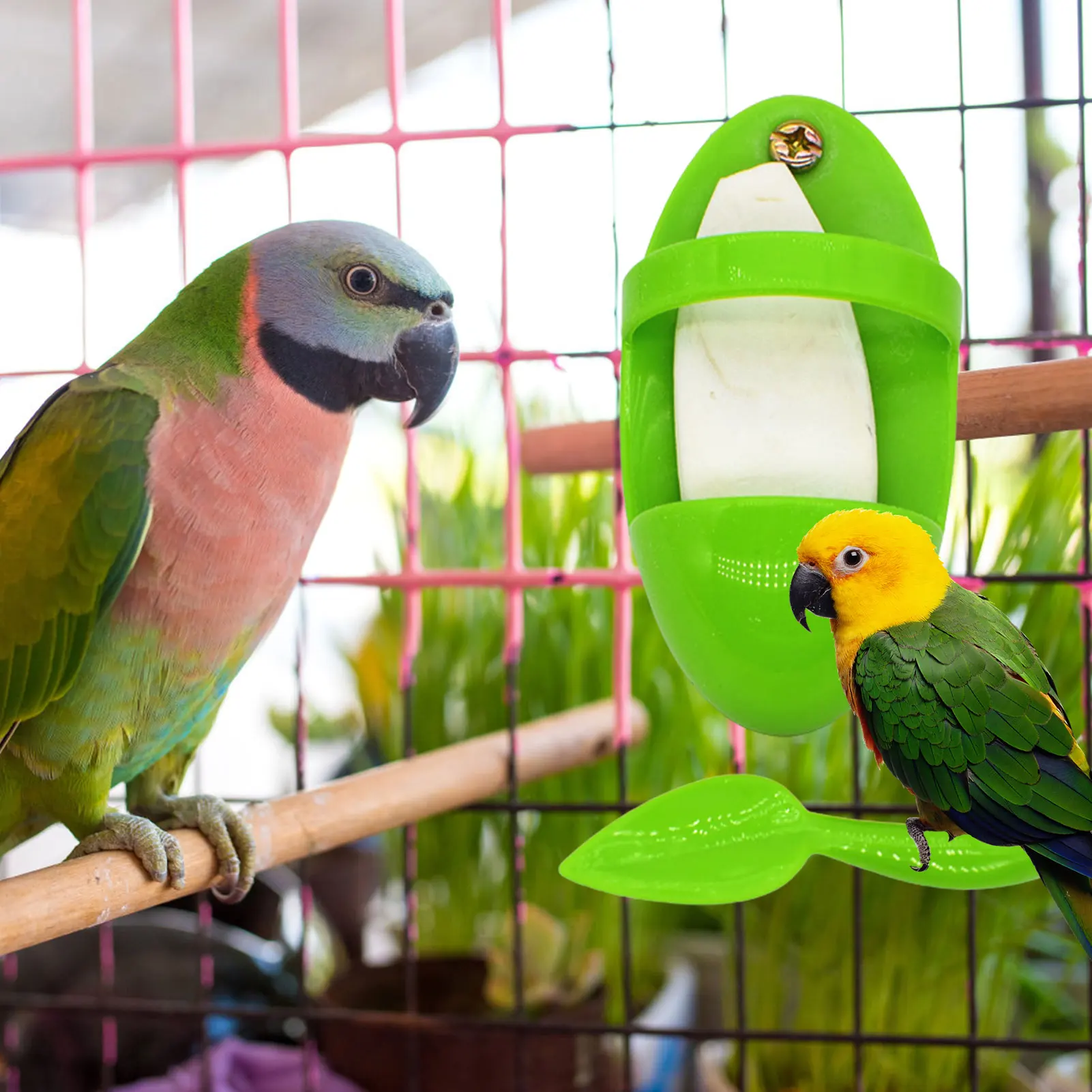 Cuttlebone Holder For Bird Cage Cuttlebone Bird Cage Accessories Feeding Cup Food Storage Cuttlefish Cuddle Bone Holders