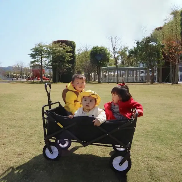 Hordozható Otthoni Bevásárlókosár Multifunkcionális Kerti Szekerek Összecsukható Kemping Kocsi Kerekes Kreatív Kellékek - Image 4