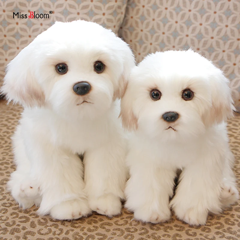 Cute Maltese Plush Toy Puppy Stuffed Animal Dog Simulation Pets Fluffy Baby Dolls Birthday Gifts for Children Dropshipping