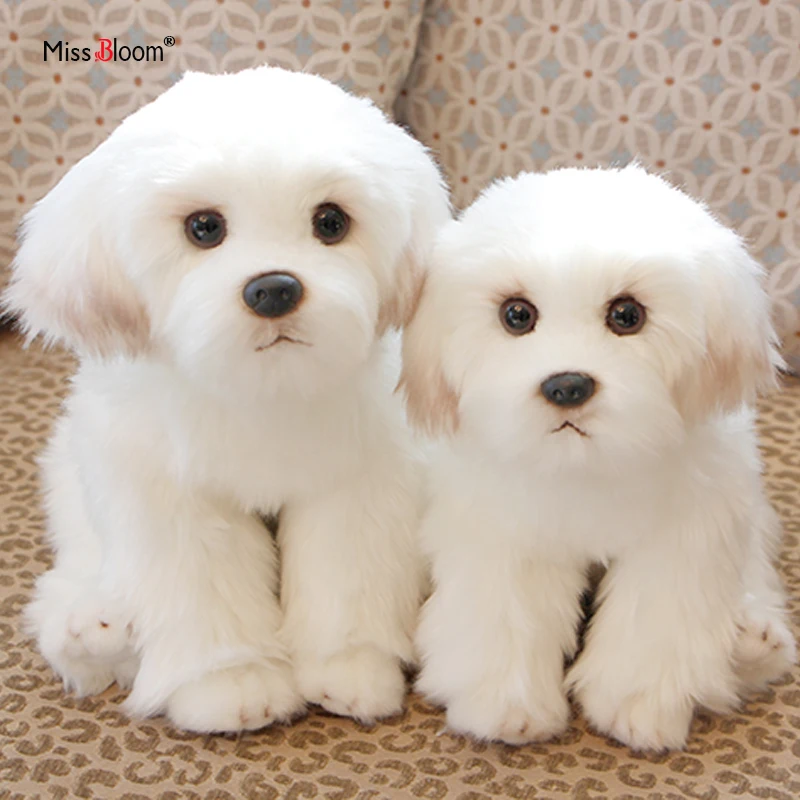 Cute Maltese Plush Toy Puppy Stuffed Animal Dog Simulation Pets Fluffy Baby Dolls Birthday Gifts for Children Dropshipping bio groom fluffy puppy шампунь для щенков без слез 355 мл