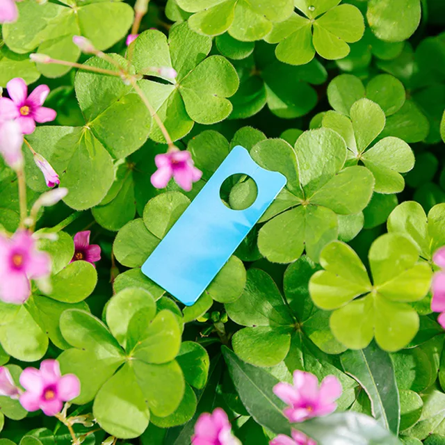 100 db Növényi Marker Dinnye Gyümölcscímkék Címkék Műanyag Növények Szőlő Kert Bonsai Gyűrűs Kártya Jelkertészet Kiegészítők - Image 4