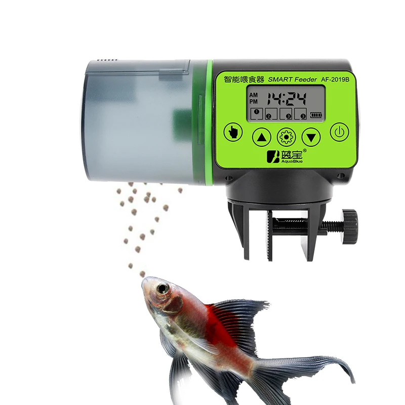 smart feeder for fish