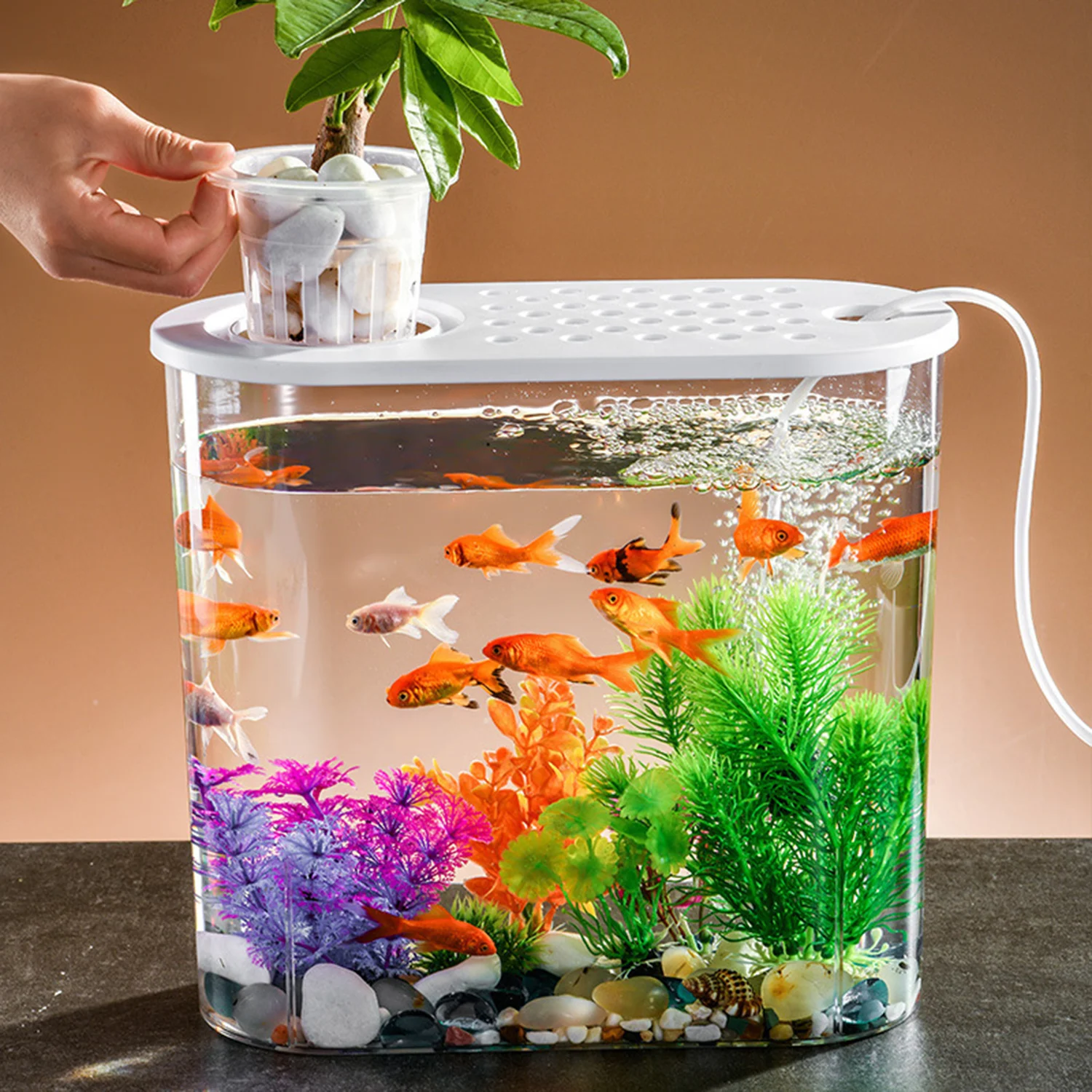 

FishTank Hydroponics Desktop Plant Terrarium Desktop Clear Table Fish Bowl Desktop Aquarium Aquaponic Planter Tanks