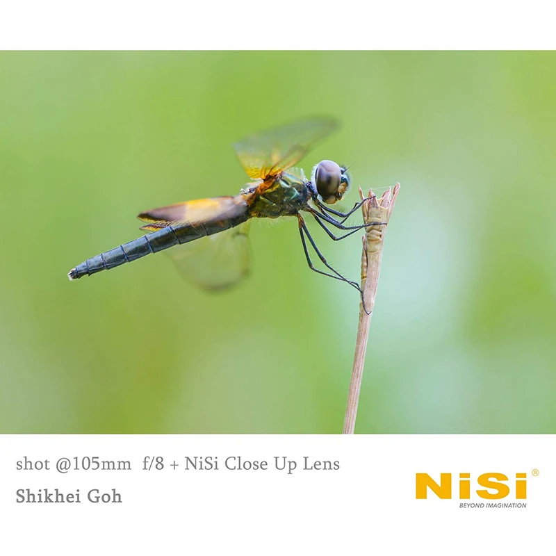 NiSi 클로즈업 렌즈 키트, MC 클로즈업 필터 렌즈, NC 67mm, 72mm, 77mm 어댑터