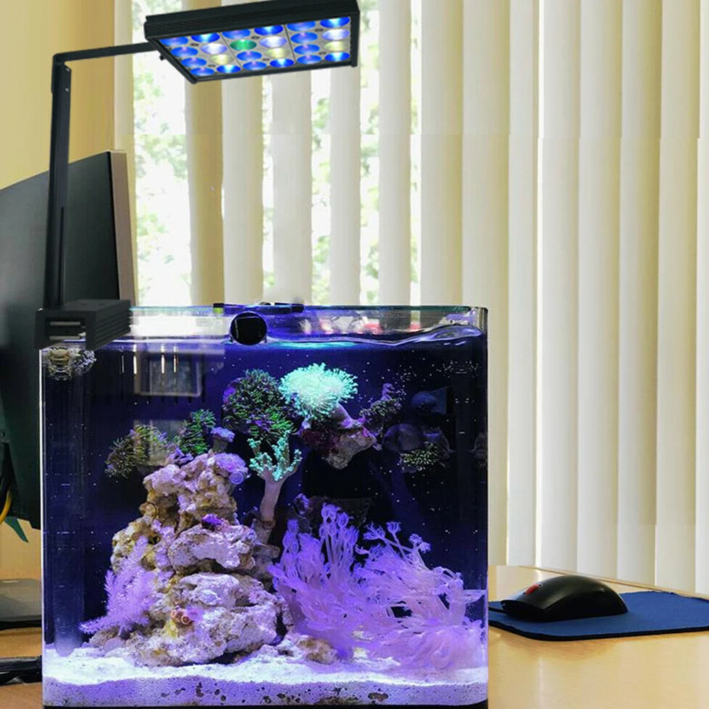 海洋水族館ライト、海洋サンゴ、SPS、LPS、シーリーフタンク