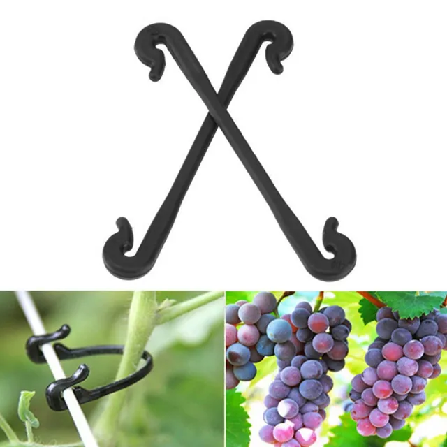50 db Szőlő Kötő Klipek Tartó Hookgrape Huzal Hajlítható Kábelkötegek Növényekhez Ágak - Image 3