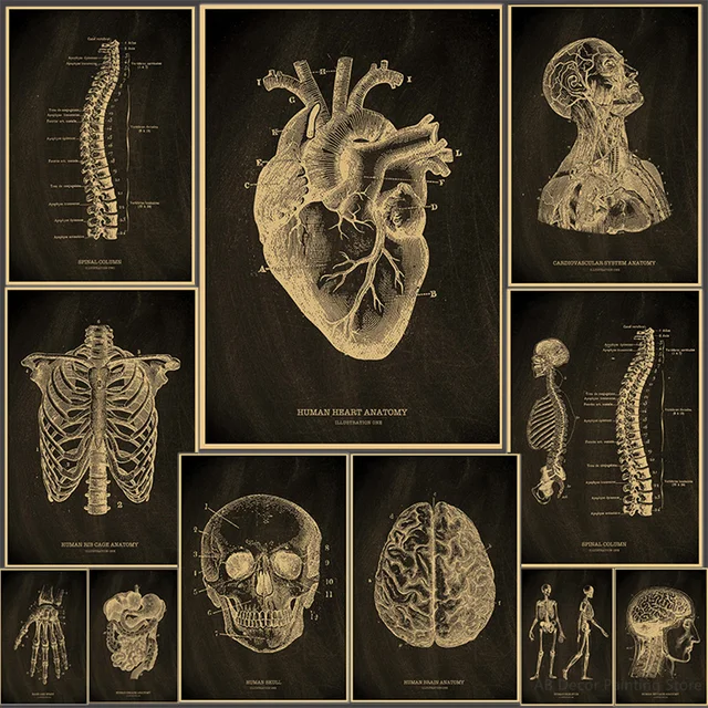 크래프트 종이 칠판 포스터: 의학 예술의 빈티지 매력