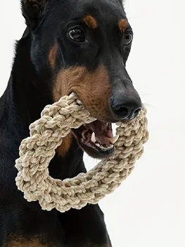 Brinquedo de corda para cães de estimação, durável, resistente à mordida, brinquedos para cães médios e grandes, golden retriever pitbull labrador, suprimentos 1