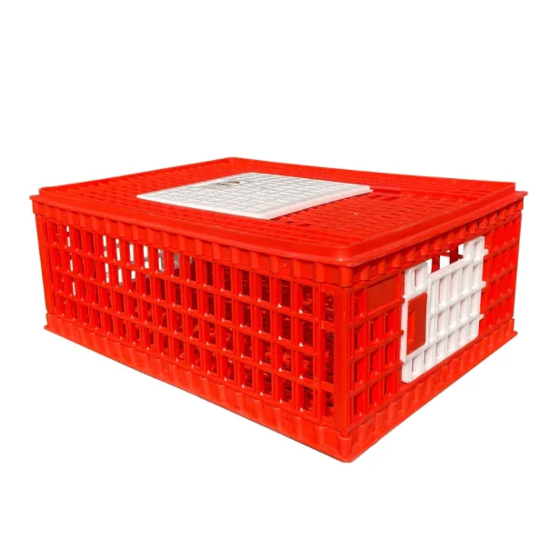 Poultry Transport Cage Plastic Chicken Transport Carrier Crate Chicken Cage Duck
