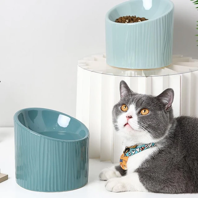 Ceramic Cat Food and Water Bowl Set ,Cat Food Dish with Stand,Elevated Cat  Bowls ,Raised Cat Food Bowls Anti Vomiting - AliExpress