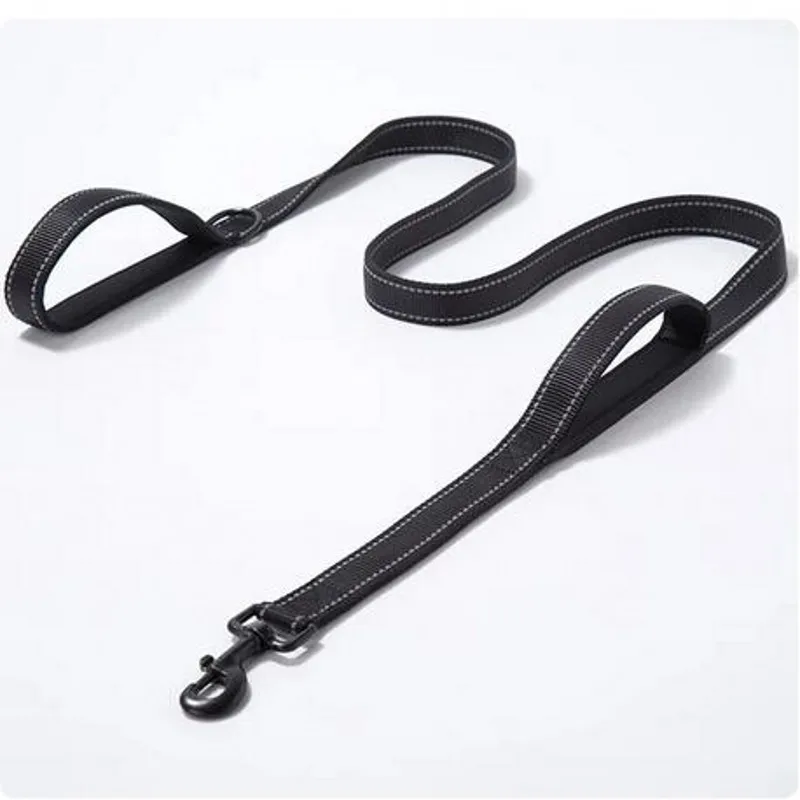 Stylish Nylon Dog Leash