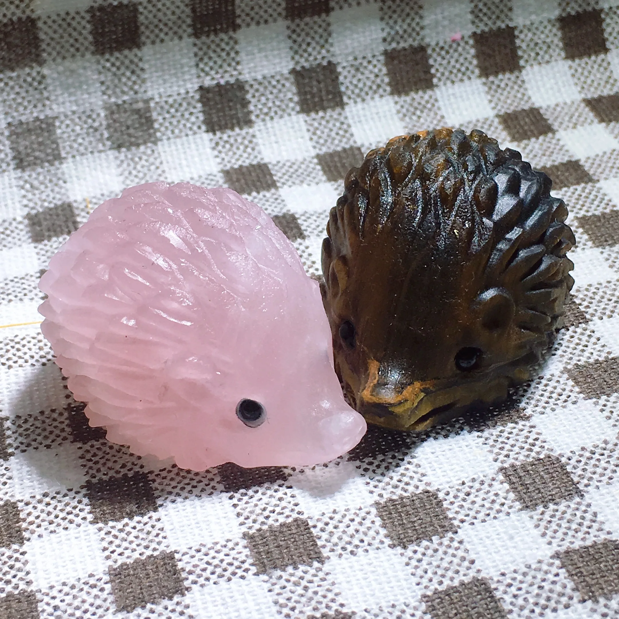 A Pair Of Hedgehogs 2553