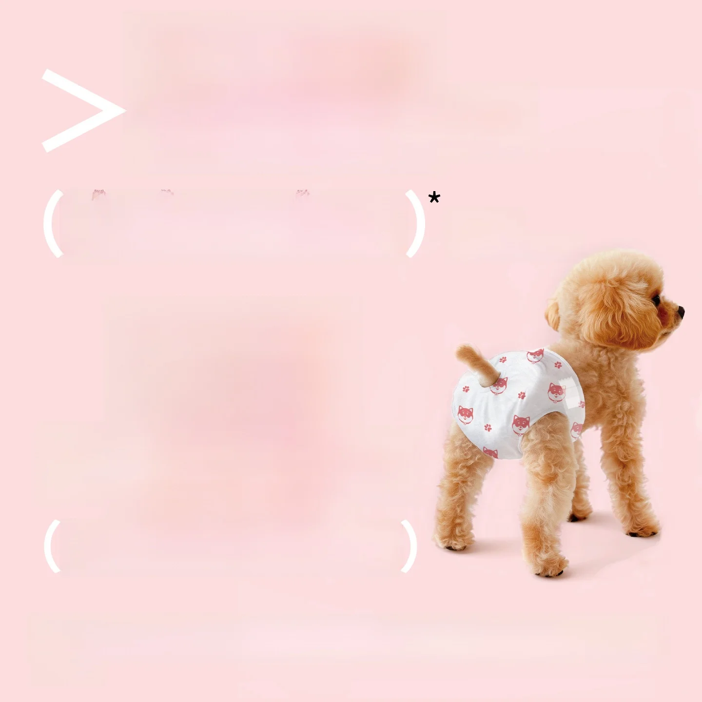 유니버설 테디 도그 생리팬티 고분자 흡수층 복합 바닥 필름 조절 가능한 허리 마법 테이프 애완용품