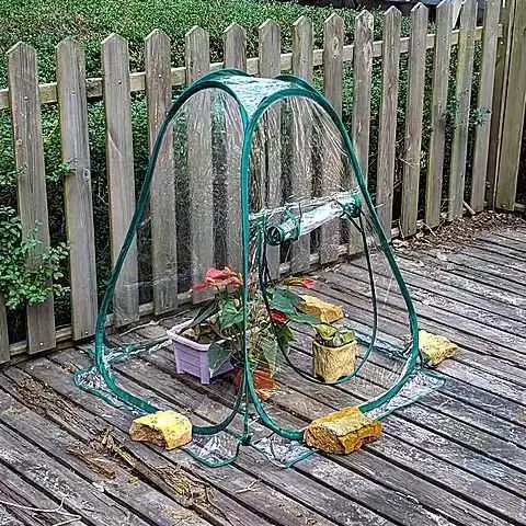 Mini Összecsukható Átlátszó Virágterem Üvegházhatású Esőálló Szigetelő Fészer Erkély Kültéri Zamatos Zöld Kapor Burkolat - Image 3