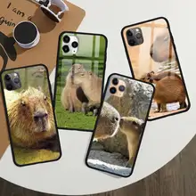 

Minoru Tanaka Death Note Phone Case Tempered glass For iphone 11 12 13 PRO MAX mini 6 7 8 plus X XS XR